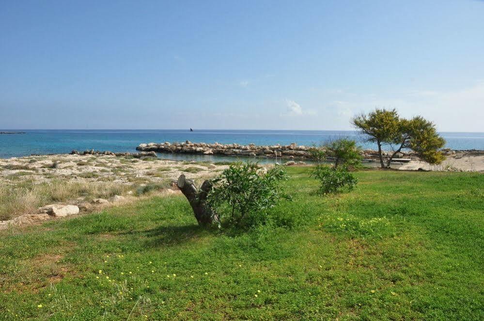 Harry'S Hotel Protaras Buitenkant foto